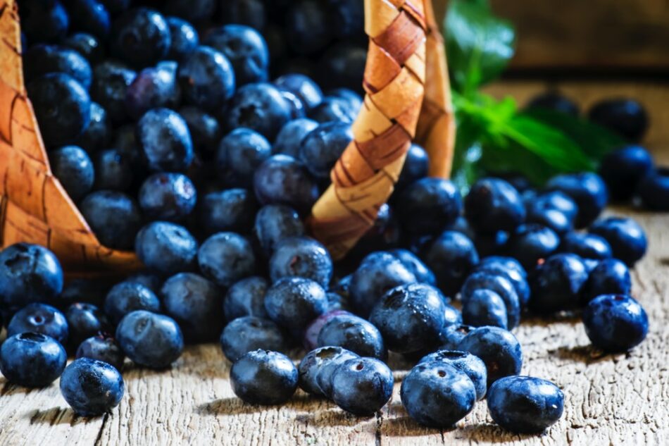 Freezing blueberries