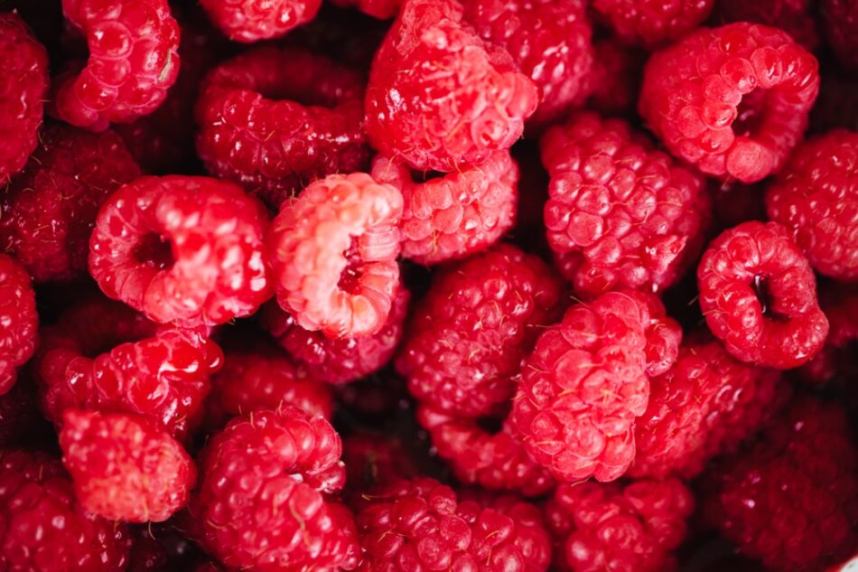 Freezing raspberries
